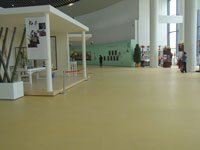 展览地毯